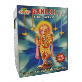 Encens Ganesh special 25grs x10 IN10150