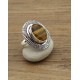 Bague Pierre Semi précieuse IN18402 oeil de tigre
