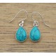 Boucles d'oreilles IN18212 turquoise