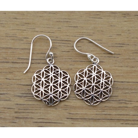 Boucles d'oreilles IN18256